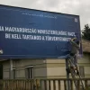 Plakát