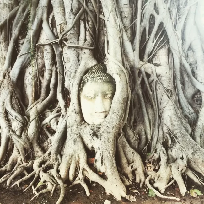 Buddha