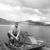 Vida Gábor
