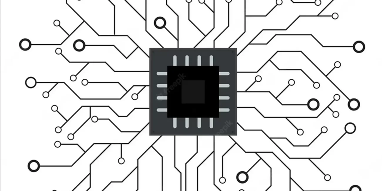 Chip