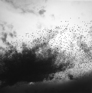 Graciela Iturbide: Dolores Hidalgo