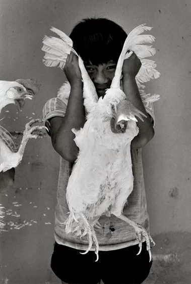 Graciela Iturbide: Juchitán de las mujeres