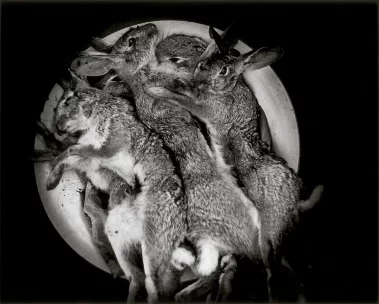 Graciela Iturbide: Juchitán de las mujeres