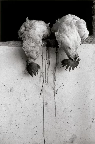 Graciela Iturbide: Juchitán de las mujeres