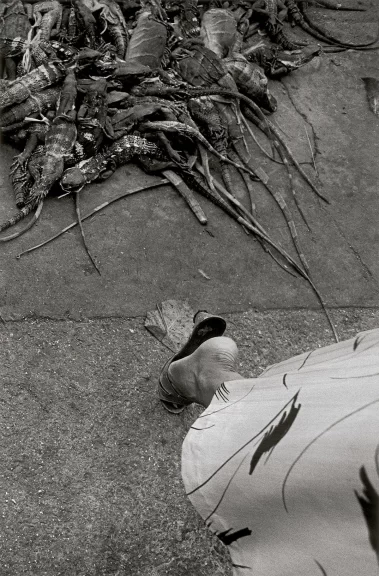 Graciela Iturbide: Juchitán de las mujeres (1979-1988)