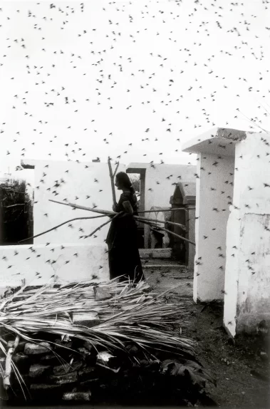 Graciela Iturbide: Juchitán de las mujeres
