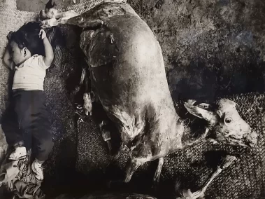 Graciela Iturbide: En el nombre del padre