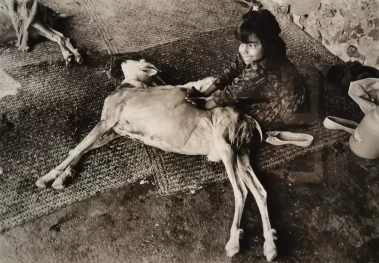 Graciela Iturbide: En el nombre del padre