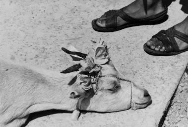 Graciela Iturbide: En el nombre del padre