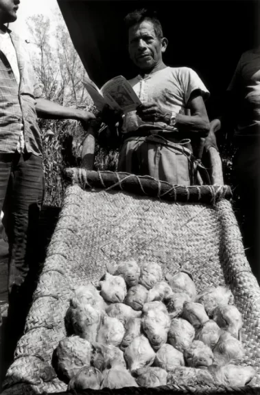 Graciela Iturbide: En el nombre del padre