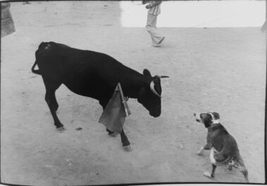 Cristóbal Hara: Cuatro cosas de España