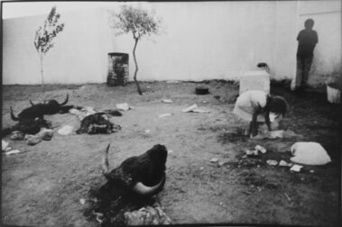 Cristóbal Hara: Cuatro cosas de España