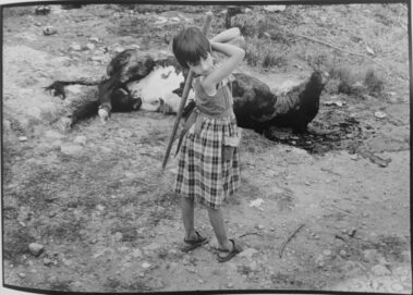 Cristóbal Hara: Cuatro cosas de España